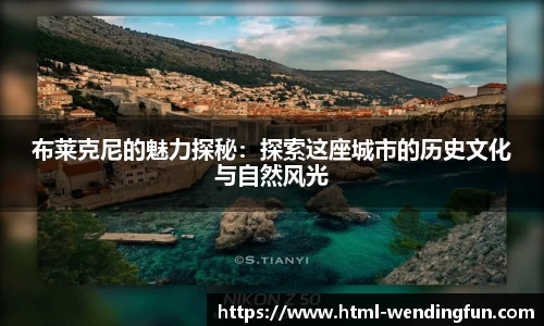 布莱克尼的魅力探秘：探索这座城市的历史文化与自然风光